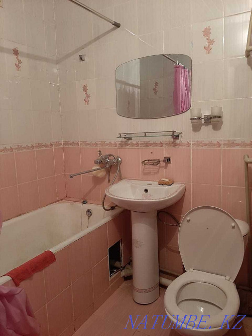  Шымкент - изображение 6