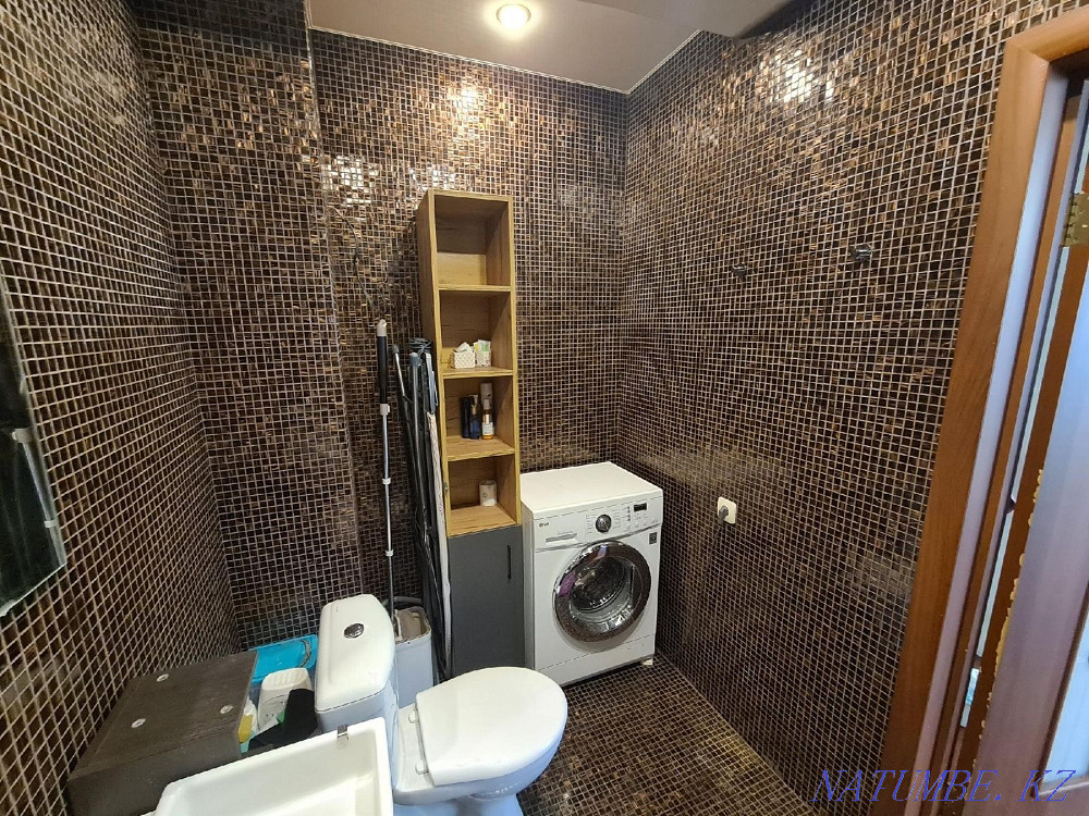  Шымкент - изображение 7