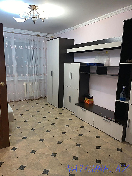  Рудный - изображение 2