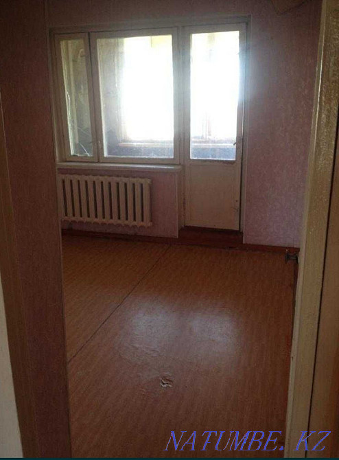  Болтирик шешен - изображение 5