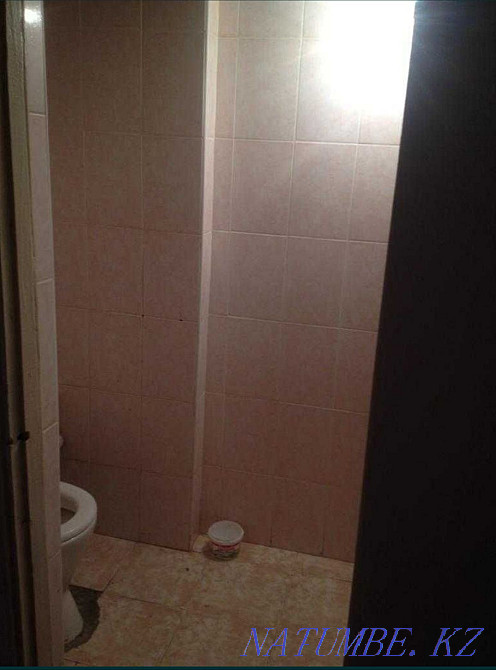  Болтирик шешен - изображение 6