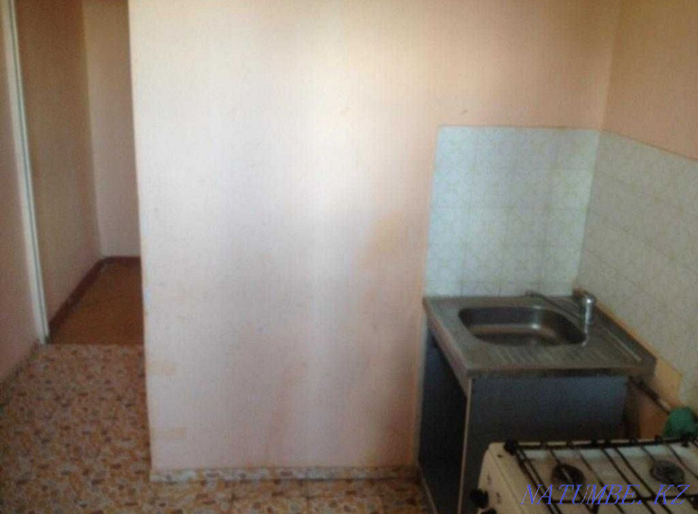  Болтирик шешен - изображение 4