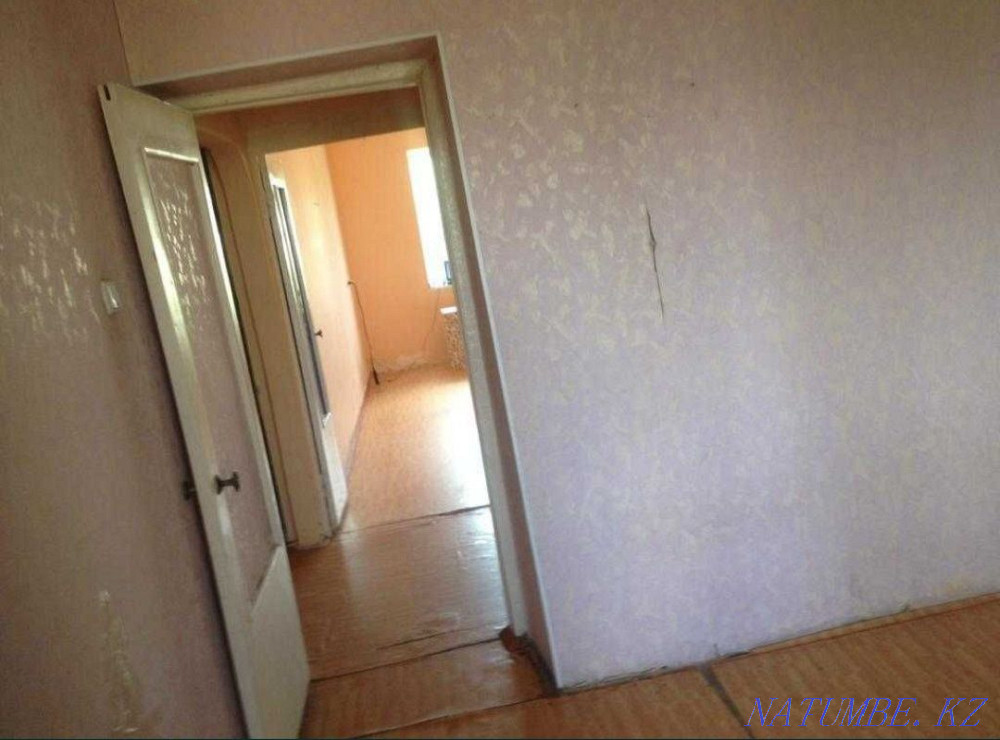  Болтирик шешен - изображение 2