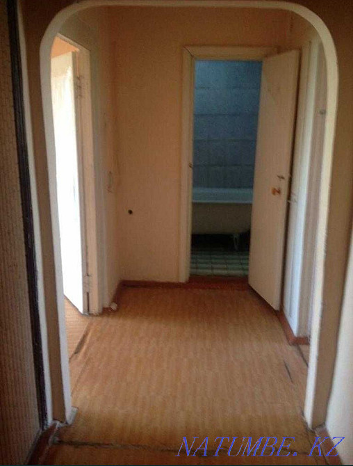  Болтирик шешен - изображение 3