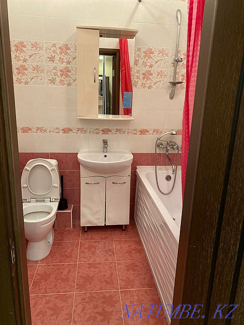  Шымкент - изображение 4