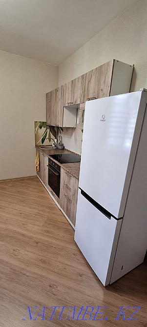  Астана - изображение 6