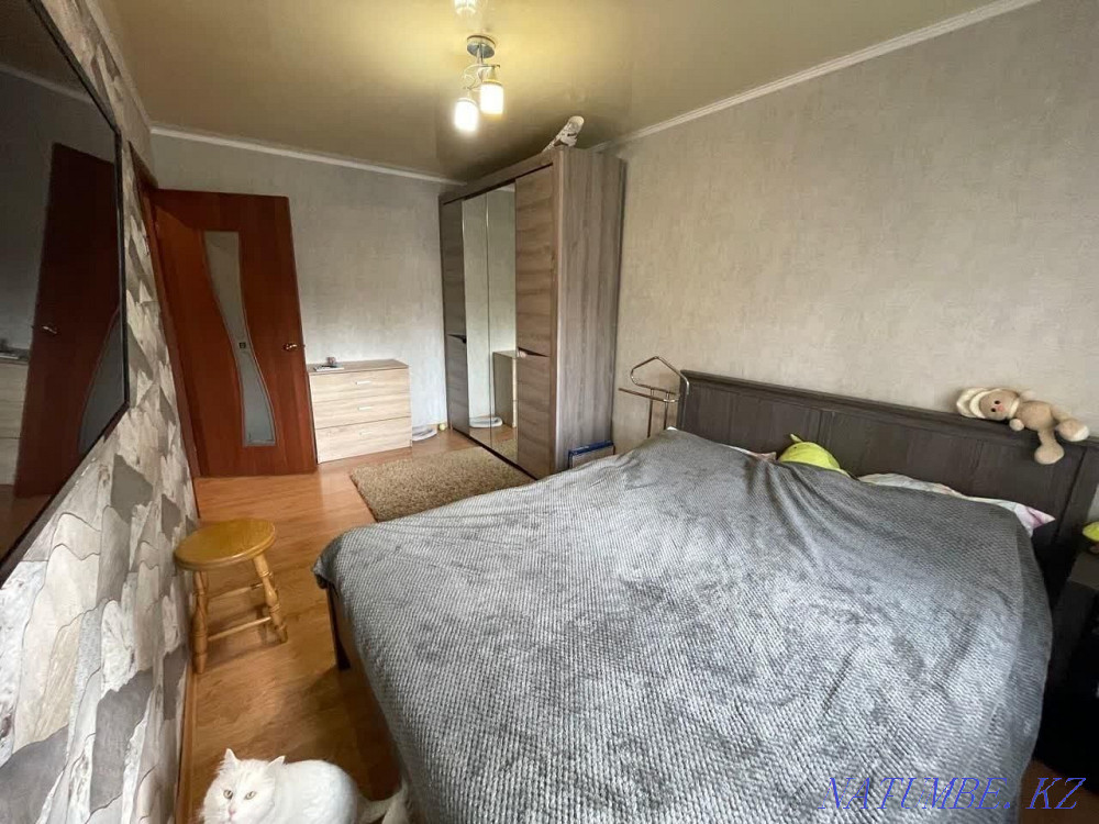  Шымкент - изображение 4