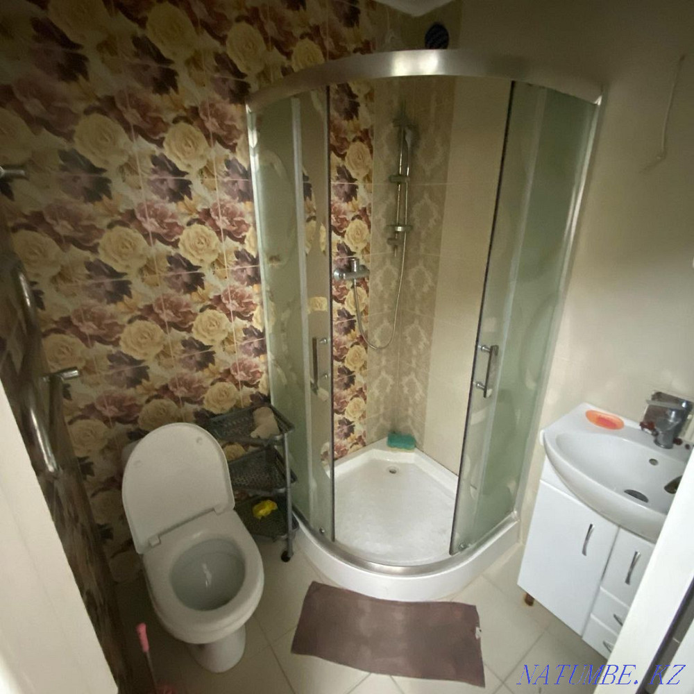   Астана - изображение 4