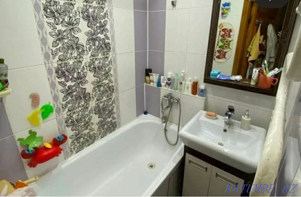  Павлодар - изображение 3