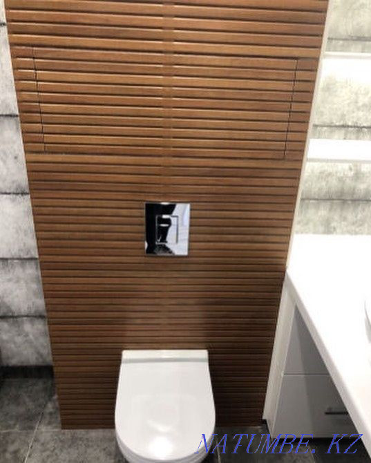   Астана - изображение 6