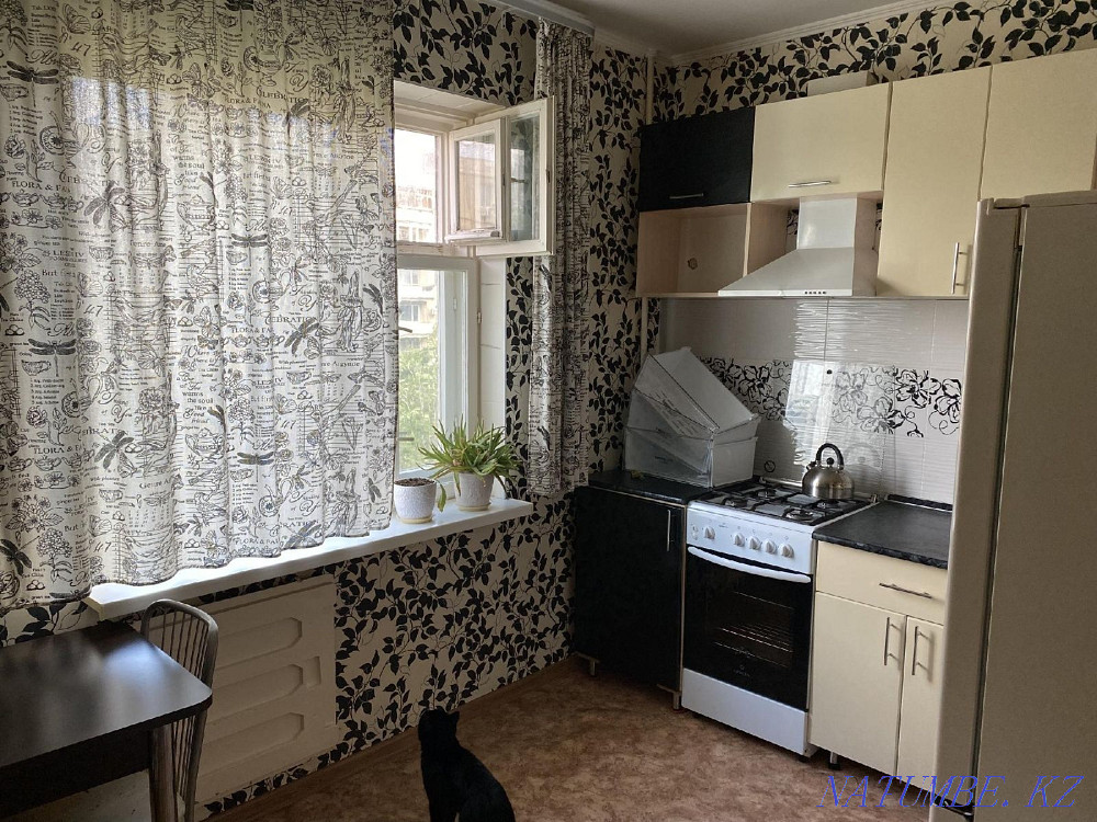  Костанай - изображение 3