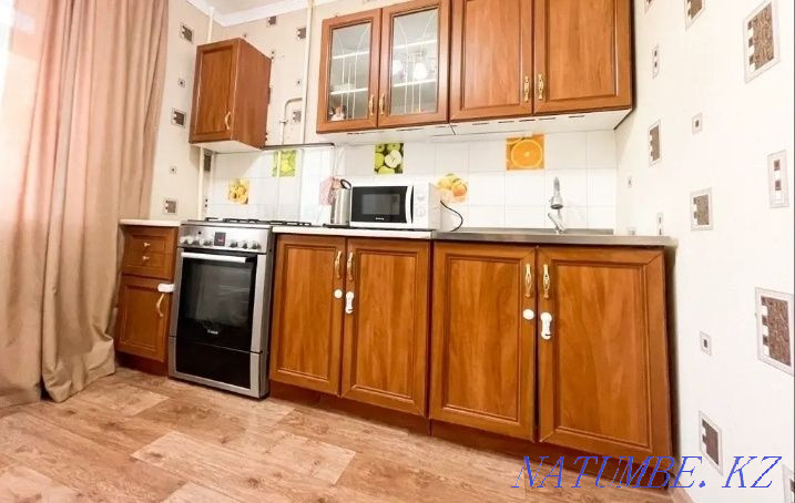  Петропавловск - изображение 1