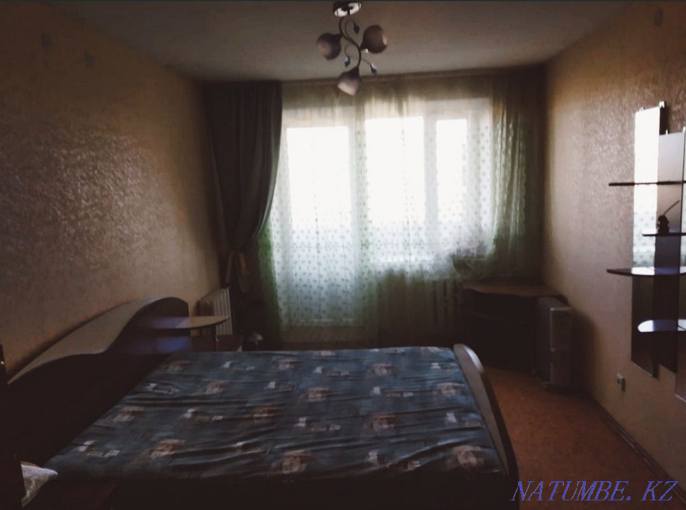  Павлодар - изображение 4