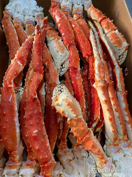 Краб Дальневосточный Астана - изображение 2