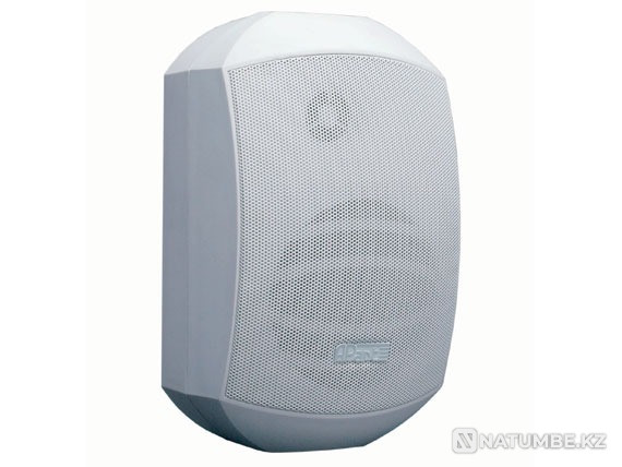 Подвесная колонка на стену для фона в кафе, спа и Астана - изображение 2