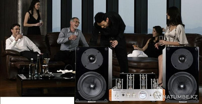 Large music speakers with mixer and microphone Astana - photo 1