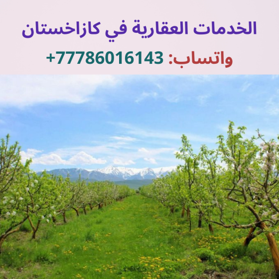 تمليك الاراضي الزراعية في كازاخستان Almaty