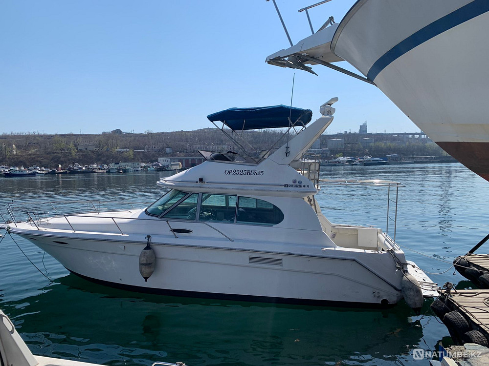 Лот №1 Владивосток - изображение 1