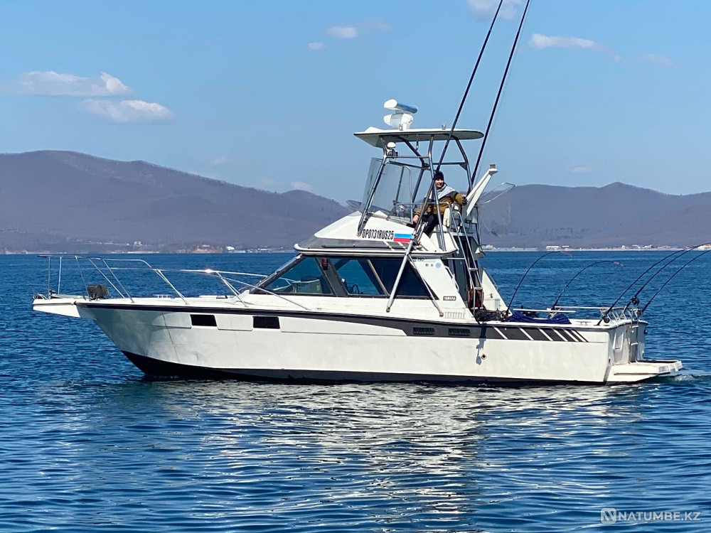 Лот №23 Vladivostok - photo 1