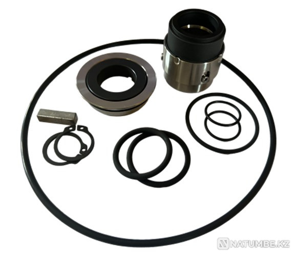 Ремкомплект насоса Europump Rt-150 Алматы - изображение 1