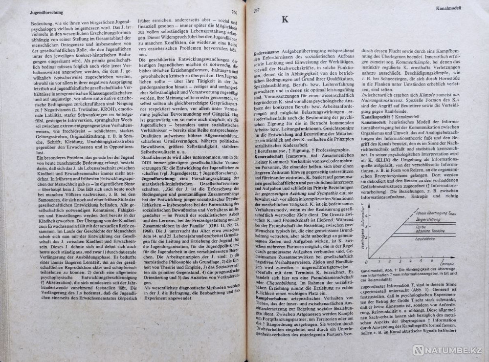 Wörterbuch der Psychologie Алматы - изображение 5