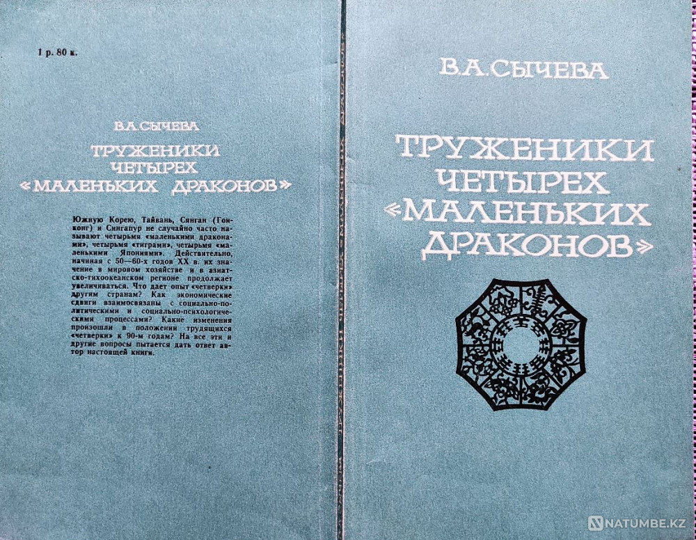 Workers of the “Four Little Dragons” Almaty - photo 1