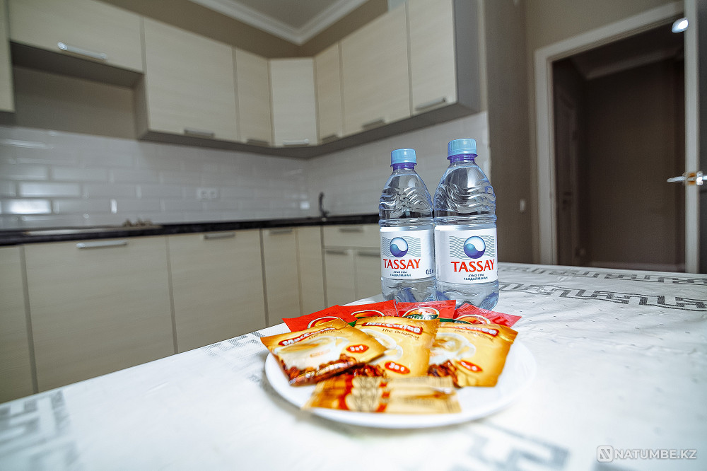  Астана - изображение 8