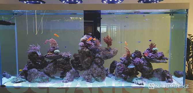 Making Aquariums Almaty - photo 1