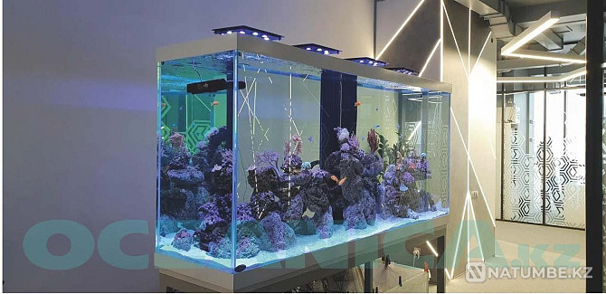 Making Aquariums Almaty - photo 8