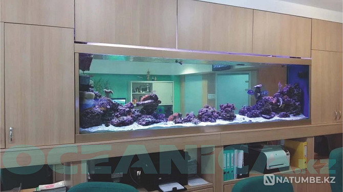 Making Aquariums Almaty - photo 4