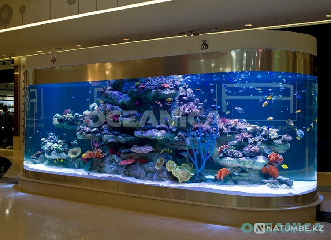Making Aquariums Almaty - photo 2