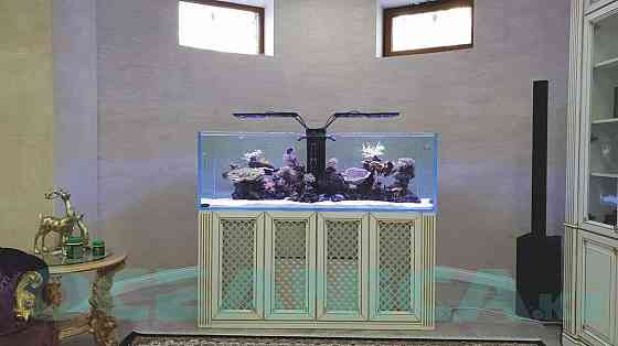 Декорирование аквариумов Алматы