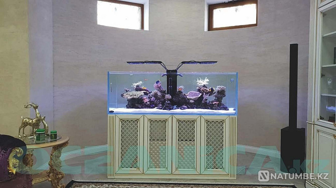 Decoration of aquariums Almaty - photo 4