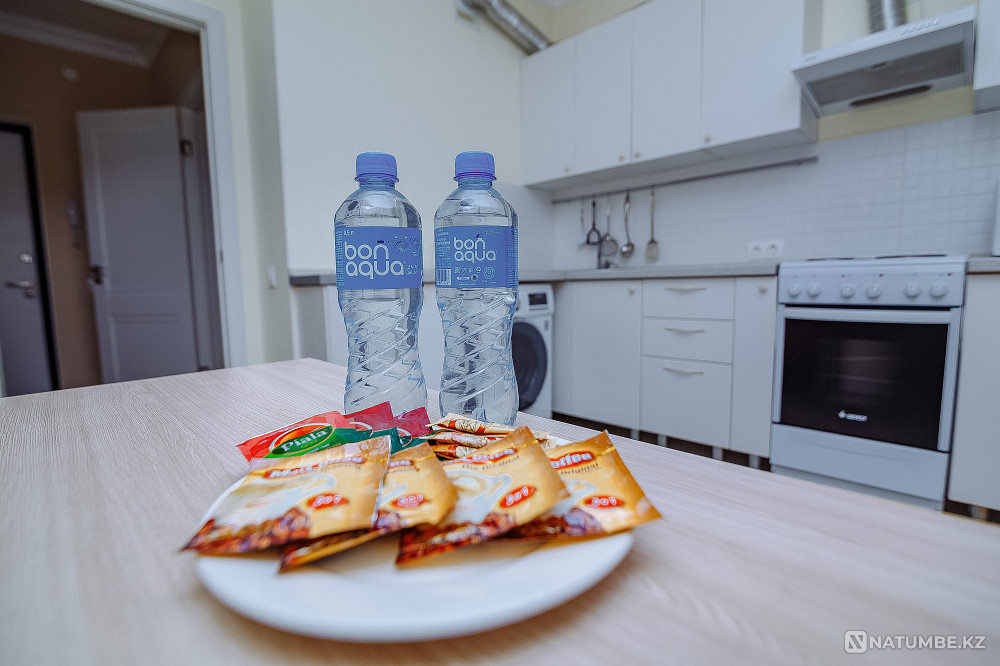  Астана - изображение 6