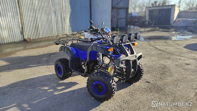 ATVs 125-250 cc Astana - photo 5