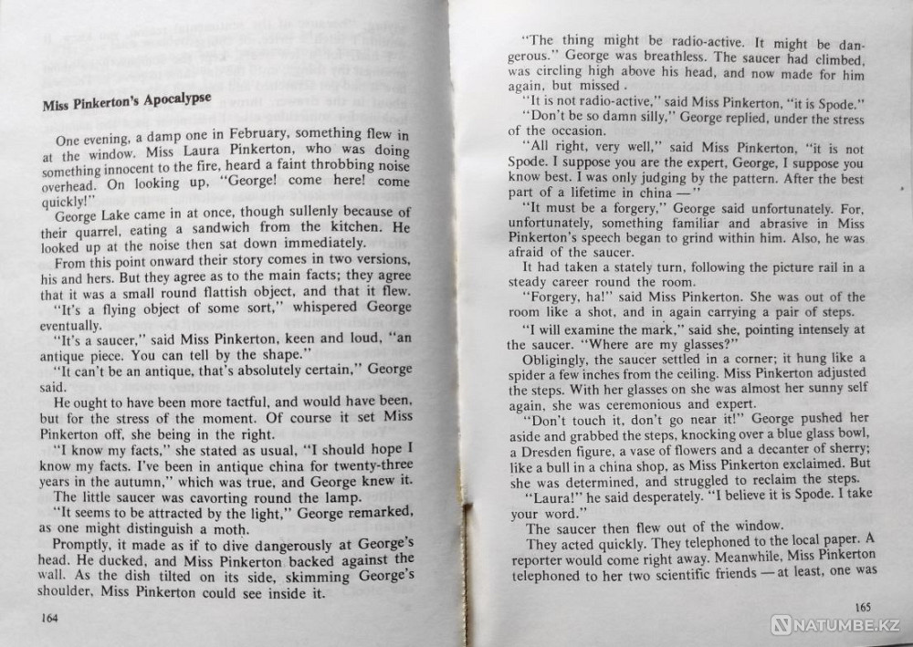 Spark Muriel – The First Image. Stories Алматы - изображение 6