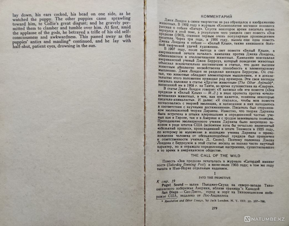 Лондон Джек - жабайы шақыру. Ақ  Алматы - изображение 8