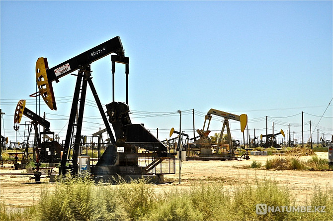 Тахи в Актау по нефтяные и газовые место Актау - изображение 4
