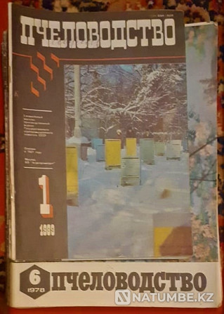 Books about beekeeping. The USSR Kostanay - photo 5