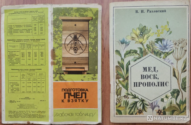 Books about beekeeping. The USSR Kostanay - photo 4