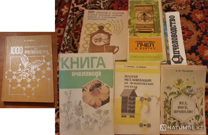 Books about beekeeping. The USSR Kostanay - photo 1