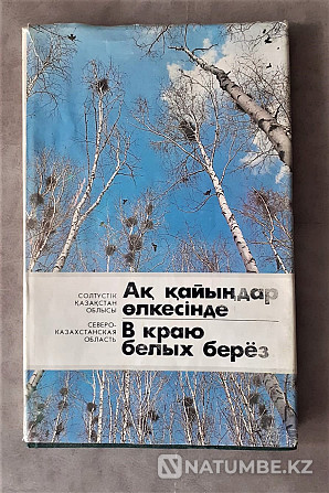 Photo album. in the edge of white birches. Rarity Kostanay - photo 1