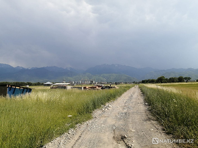 Selling a plot of 8 acres Almaty - photo 5