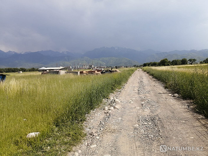 Selling a plot of 8 acres Almaty - photo 6