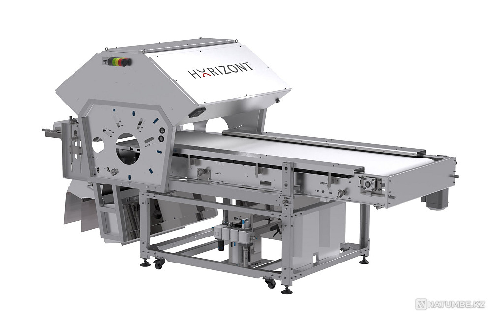 Belt color sorter of the Horizont series to Astana - photo 2