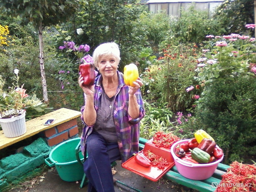 Sell off house. Chelyabinsk - photo 18