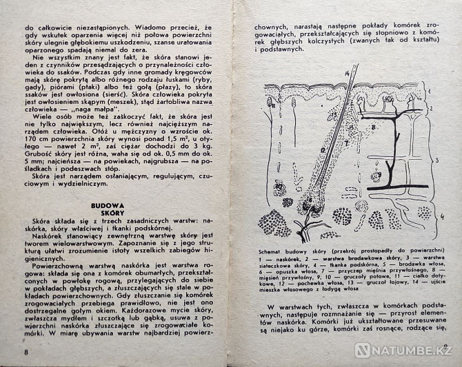 Kosmetyka pana – Marian Zajfen (Polish Almaty - photo 3