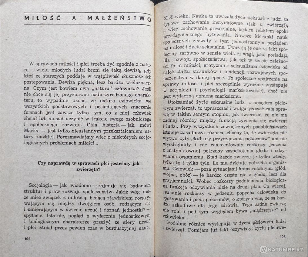 O miłości prawie wszystko – Kozakiewicz Almaty - photo 5