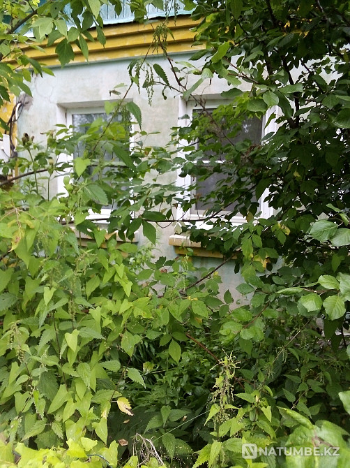 Продам дачу Тверь - изображение 1