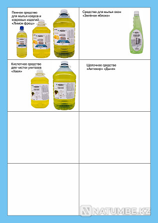 Household chemicals from 440 tenge per 1 liter Almaty - photo 4